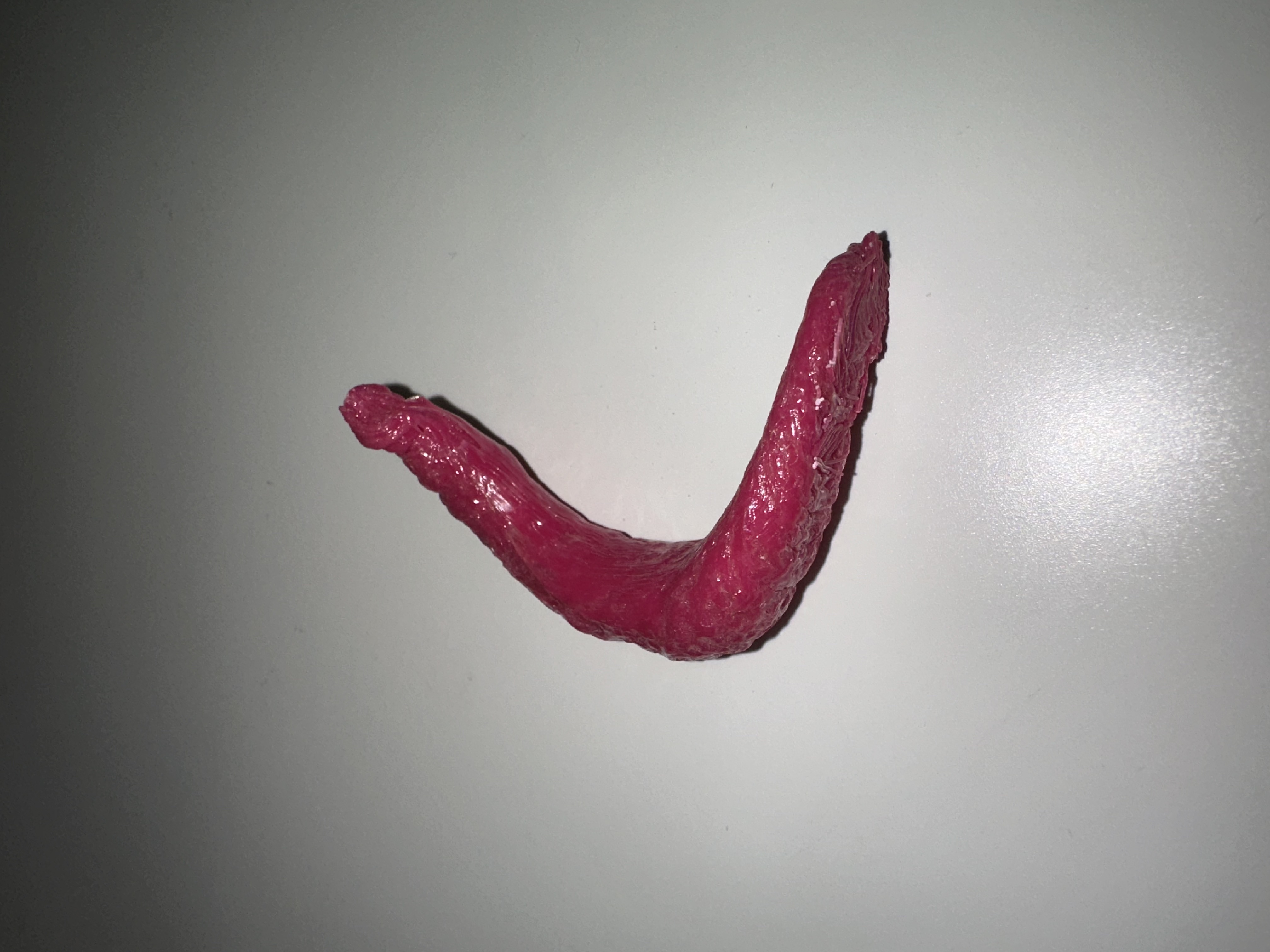 First Ever Print (Not what I intended!)