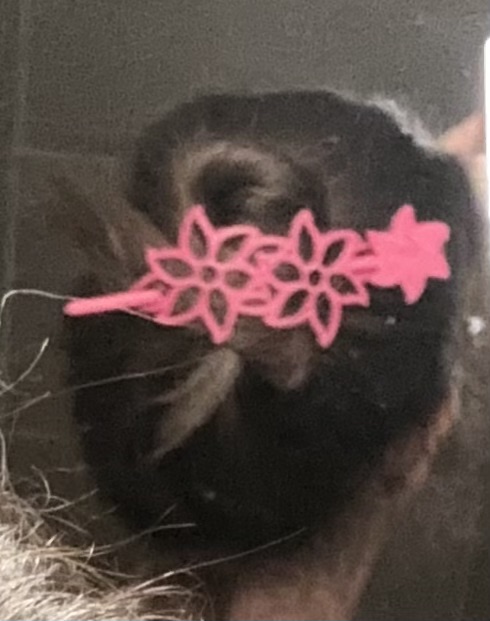 Last Minute Hair Clip Print